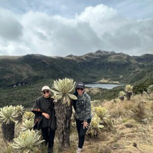 frailejon_volcan