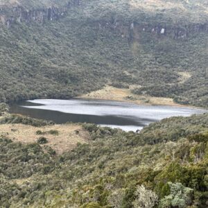 telpis_laguna